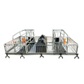 Professional Service Nice Quality Pigs Equipment Farrowing Crates Galvanized Sow Farrowing Bed Crates for sale